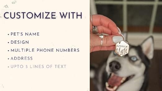 תג שם לכלב — PawFurEver Custom Engraved Pet ID Tag – Personalized Dog Name Tag for Dogs and C