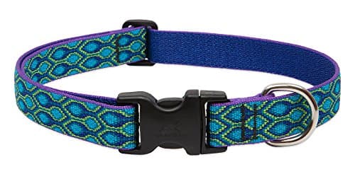 קולר לכלב — LupinePet Originals 1" Rain Song 12-20" Adjustable Collar for Medium and Larger 