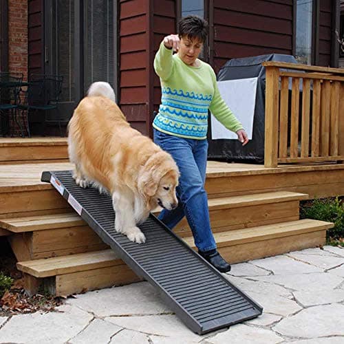 מדרגות לכלב — Petstep Original Folding Pet Ramp, Khaki/Beige