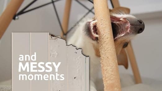 מיטה לכלב גדול — New Age Pet ECOFLEX Manhattan Raised Dog Bed, Moisture Resistant Frame with Stai