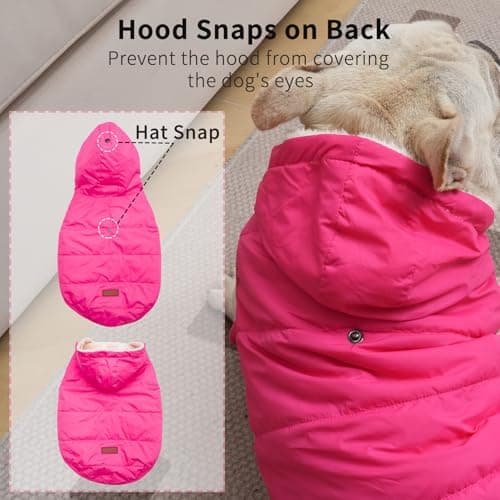 מעיל לכלב — Fleece Lining Extra Warm Dog Hoodie in Winter for Small Dogs Jacket Puppy Coats 