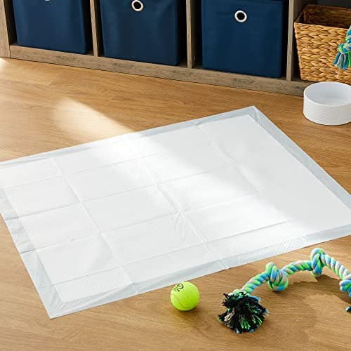 פד לכלב — XXL Training Pads Dog Housebreaking Pads, 30" x 36\