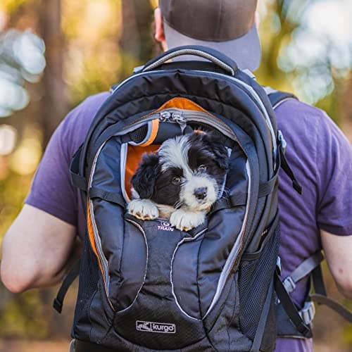 נשאית/תיק לכלב — Kurgo G-Train Dog Carrier Backpack - Comfortable Travel Bag for Pets Up to 25 lb