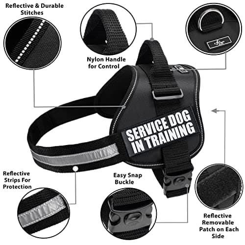 רתמה לכלב — Doggie Stylz Service Dog in Training Vest with Hook and Loop Straps and Handle –