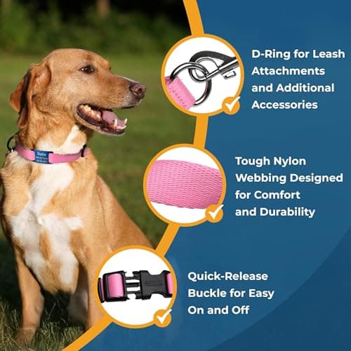 קולר לכלב — GoTags Reflective Personalized Dog Collar with Nameplate, Adjustable Dog Collar 