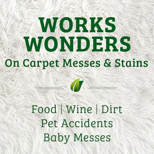 מוצר ניקיון לכלב — Biokleen Bac-Out Enzyme Cleaner Spray and Stain & Odor Remover for Pet Stains, L