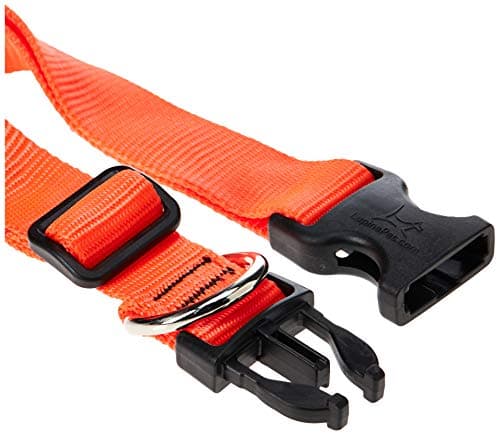 קולר לכלב — LupinePet Basics 1" Blaze Orange 12-20" Adjustable Collar for Medium and Larger 