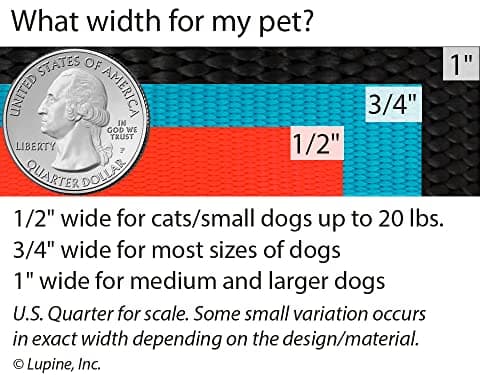 קולר לכלב — Lupine Small Dog Collar 3/4" wide Petunias design Adjusts from 9" to 14"