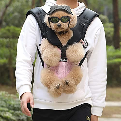 נשאית/תיק לכלב — Pawaboo Pet Carrier Backpack S Size Black & Adjustable Small Dog Goggles