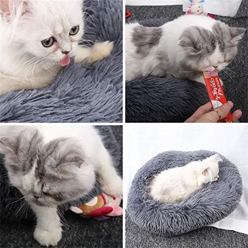 מיטה לכלב קטן — Plush Round Pet Bed, Soft Cat Cushion Bed, Round Warm Plush Pet Cushion Improves