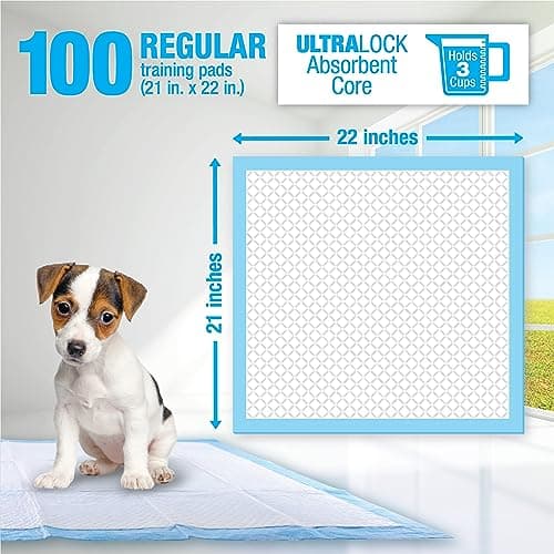 פד לכלב — RUFFIN' IT Lil' Squirts Puppy Training Pads 100 Pk.