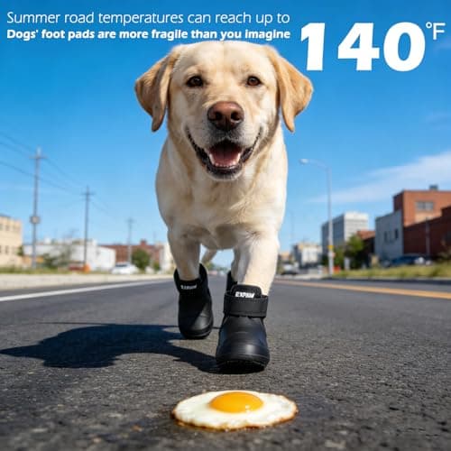 נעליים לכלב — EXPAWLORER Dog Shoes for Small Medium Large Dogs, Waterproof Non-Slip Dog Snow B