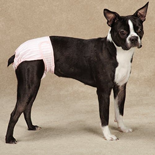 חיתול לכלב — Clear Quest Wetness and Stain Protecting Dog Cover-Ups Dog Diapers, 2-Pack