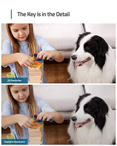 מצלמת מעקב לכלב — eufy Security Indoor Cam C120 & P24, 2K, Indoor Security Camera, Wi-Fi Plug-in C