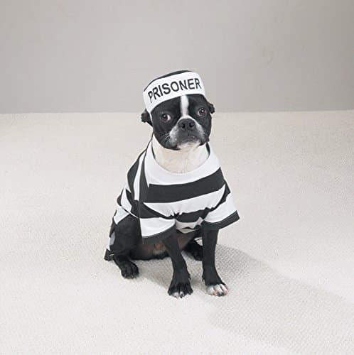 תחפושת לכלב — Casual Canine Prison Pooch Costume for Dogs, 24" XL, Black and White