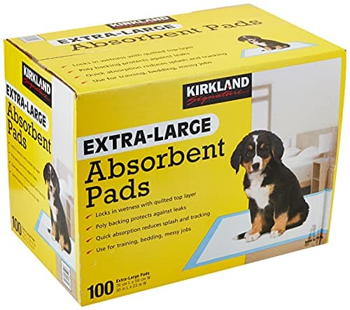 פד לכלב — Kirkland Signature Extra-Large Absorbent Pads, 100 Large Pads, 30x23 (Original V
