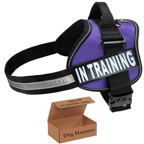 רתמה לכלב — Service Dog in Training Vest - Adjustable No Pull Dog Harness with Patches. in T