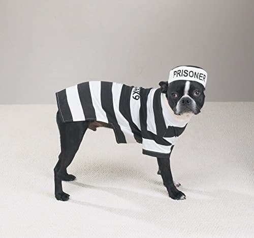 תחפושת לכלב — Casual Canine Prison Pooch Costume for Dogs, 24" XL, Black and White
