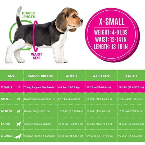 חיתול לכלב — Bodhi Dog Doggie Diapers Extra Small + Lavender Pet Wipes Bundle