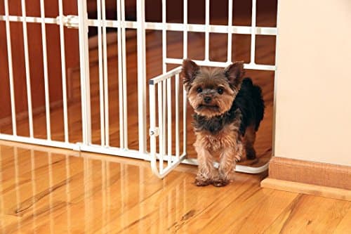 שער בטיחות לכלב — Carlson 24-38" Lil Tuffy Expandable Metal Dog Gate for Doorways, Indoor Pet Gate