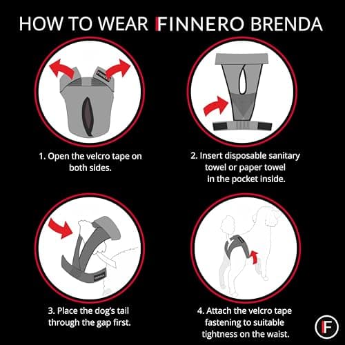 חיתול לכלב — FINNERO Brenda Reusable Dog Diaper, Leak-Proof, Adjustable, Heat & Incontinence 