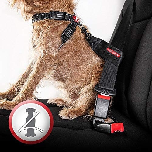 רתמה לכלב — EzyDog Adjustable Chest Plate Harness - Small, Medium, XL, & Large Dogs - Step-I