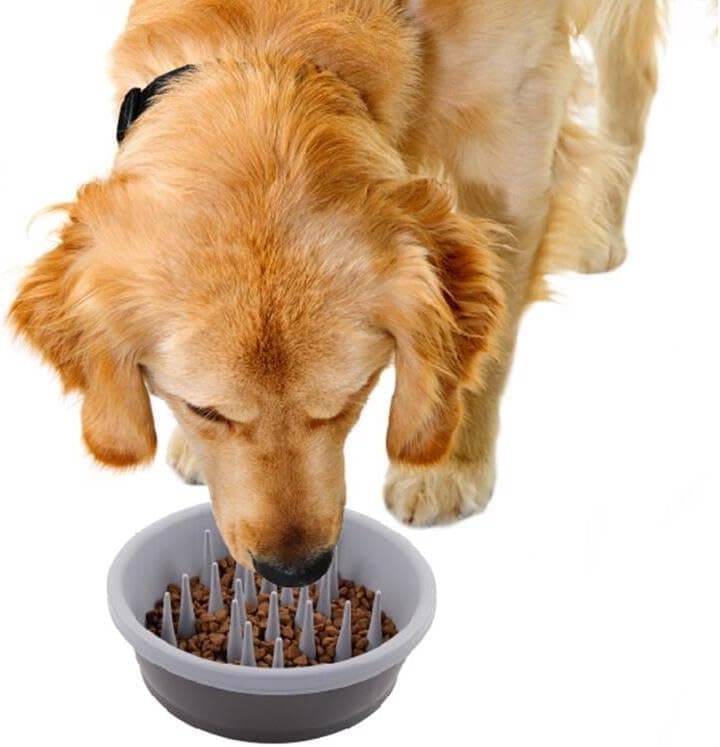 קערת האכלה לכלב — Dexas Slow Feeder Dog Bowl for Healthier Digestion, Teeth and Gums, 6 Cup Capaci