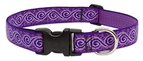 קולר לכלב — Large Dog Collar by Lupine 1" Wide Jelly Roll Design adjusts from 16" to 28"