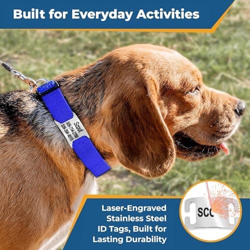 קולר לכלב — GoTags Reflective Personalized Dog Collar with Nameplate, Adjustable Dog Collar 