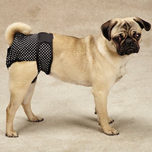 חיתול לכלב — Clear Quest Wetness and Stain Protecting Dog Cover-Ups Dog Diapers, 2-Pack