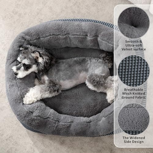 מיטה לכלב קטן — INVENHO Small Dog Bed for Small Dogs, Cat Beds for Indoor Cats Washable, Orthope