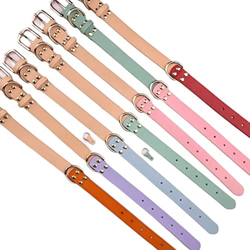 קולר לכלב — Yonsbox Personalized Dog Collar with Nameplate – Genuine Leather, Engraved Pet I