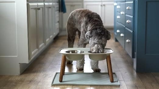 צעצוע חשיבה לכלב — Messy Mutts Silicone Non-Slip Dog Bowl Mat with Raised Edge and Two Sides Reinfo