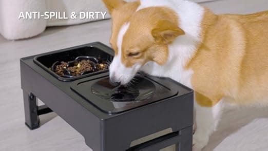 קערת האכלה לכלב — Elevated Dog Bowls, 2-in-1 Raised Slow Feeder Dog Bowls Stand with Anti Spill No