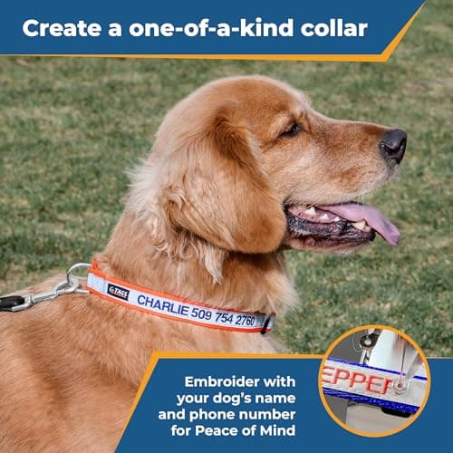 קולר לכלב — GoTags Reflective Personalized Dog Collar, Custom Embroidered with Pet Name and 
