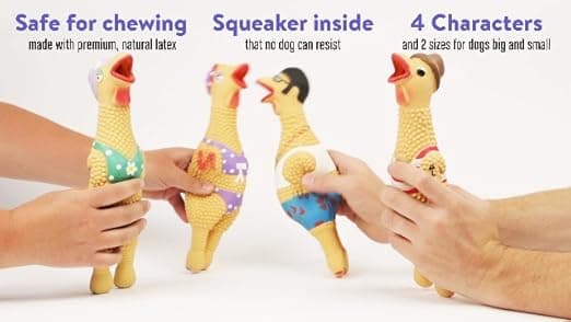 צעצוע חשיבה לכלב — Outward Hound by Charming Pet Squawkers Earl Latex Squeaky Rubber Chicken Dog To