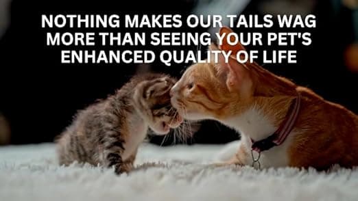 מלונה לכלב — K&H Pet Products Two-Story Outdoor Kitty House with Dining Room Heated Gray Leaf