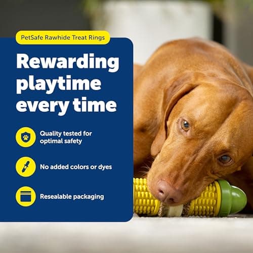 צעצוע חשיבה לכלב — PetSafe Busy Buddy Natural Rawhide Rings - Long-Lasting Dog Chew Refills - Engag