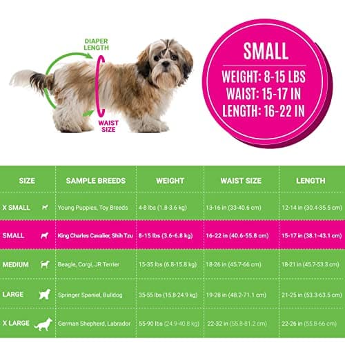 חיתול לכלב — Bodhi Dog Doggie Diapers Small + Lavender Pet Wipes Bundle