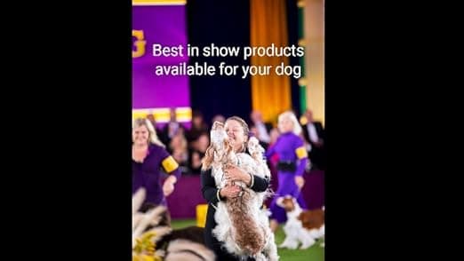 מברשת טיפוח לכלב — Chris Christensen Dog Brush, 27 mm Oval Pin Brush, Original Series, Groom Like a