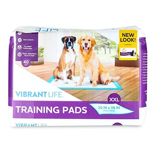 פד לכלב — XXL Training Pads Dog Housebreaking Pads, 30" x 36\