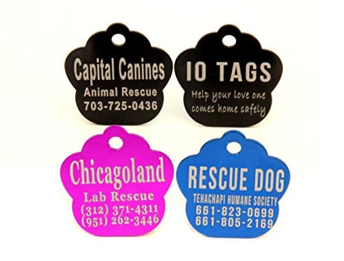 תג שם לכלב — Laser Etched Bulk Lot Pet ID Tag for Dog & Cat Shelters, Rescues, Non Profits Or