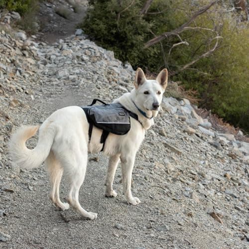 נשאית/תיק לכלב — Adventure Backpack - Pink - L