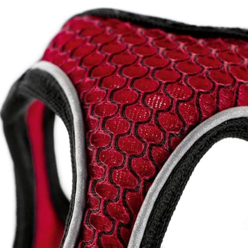 רתמה לכלב — HUNTER HILO COMFORT harness for small dogs, with mesh material and reflective el