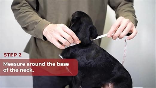 רתמה לכלב — Best Pet Supplies - All Weather Mesh/Plush, Reflective, No Pull Harness for Smal