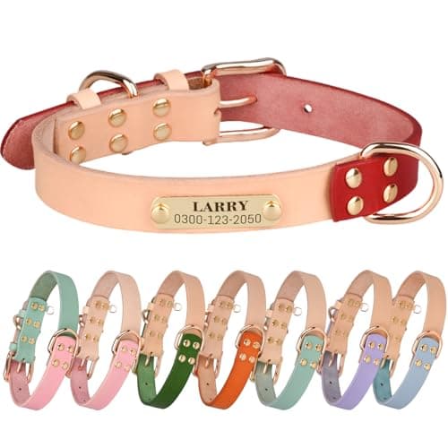 קולר לכלב — Yonsbox Personalized Dog Collar with Nameplate – Genuine Leather, Engraved Pet I
