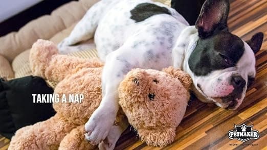 מיטה אורטופדית לכלב — Orthopedic Dog Bed - 2-Layer Memory Foam Crate Mat with Machine Washable Sherpa 