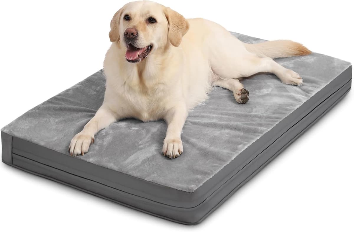 מיטה לכלב גדול — Waterproof XL Dog Beds Large Sized Dog, Outdoor Washable Cra