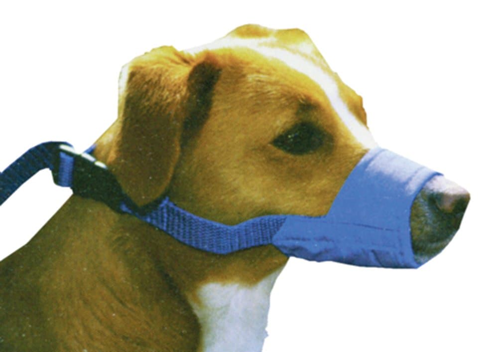 מחסום פה לכלב — Four Flags Quick Muzzle Animal Muzzle Blue
