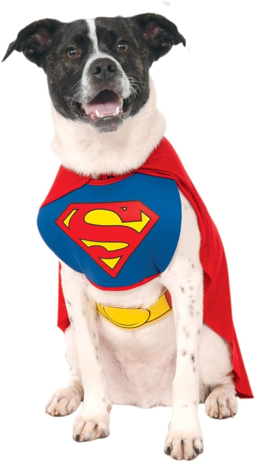 תחפושת לכלב — DC Comics Superheroes: Superman Pet Costume for For Dogs or 